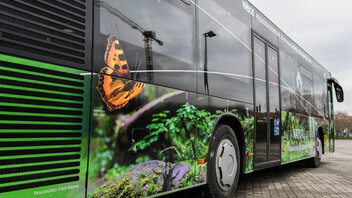Bus mit Werbung Nationalpark