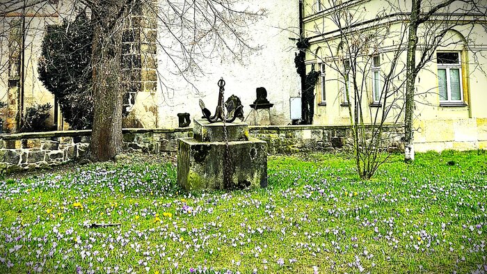 Frühling in Pirna