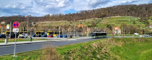 Busse am Endpunkt Schloss Pillnitz