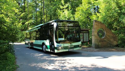 Bus der Linie 237 an der Bastei