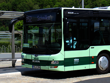 Bus in grün