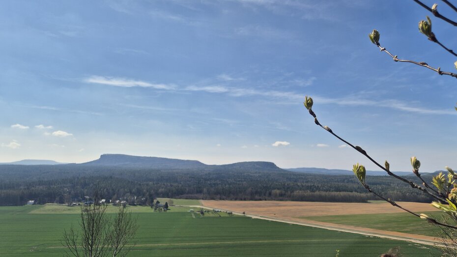 Zschirnsteine