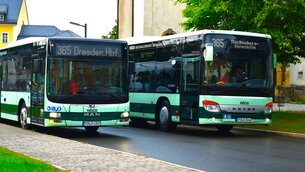 2 Busse in Frauenstein