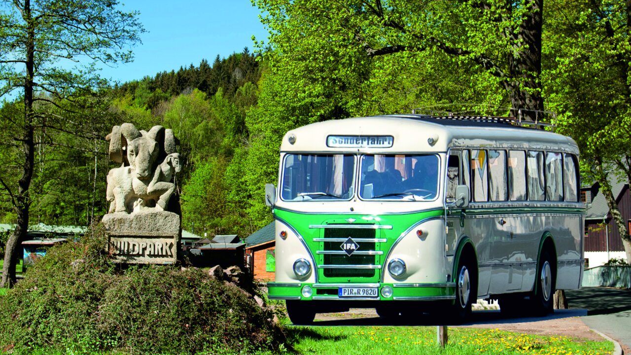 H6 Bus am Wildpark Osterzgebirg