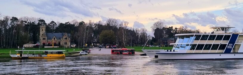 Bus, Fähre und Salonschiff in Kleinzschachwitz Fähre