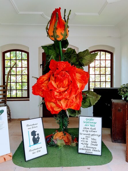 Seidenrose im Museum Sebnitz