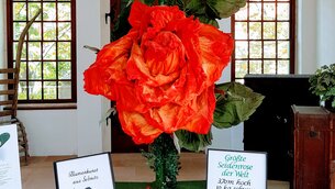 Seidenrose im Museum Sebnitz