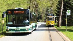 Bus und Kirnitzschtalbahn