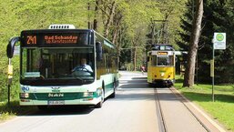 Bus und Kirnitzschtalbahn