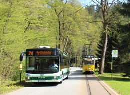 Bus und Kirnitzschtalbahn an der Mittelndorfer Mühle