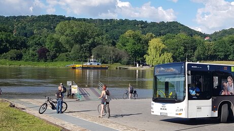 Schlossfähre Pillnitz mit Bus