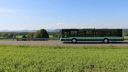Bus Linie 260