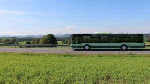 Bus Linie 260