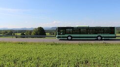 Bus Linie 260