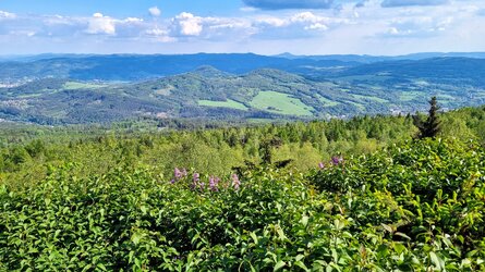 Blick vom Schneeberg