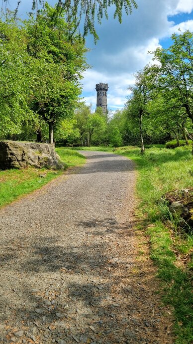 Turm Schneeberg