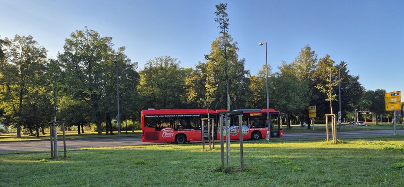 365 in Dresden