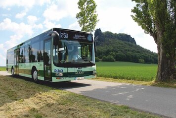 Bus Linie 253 am Lilienstein