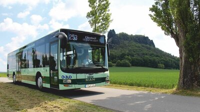 Bus Linie 253 am Lilienstein