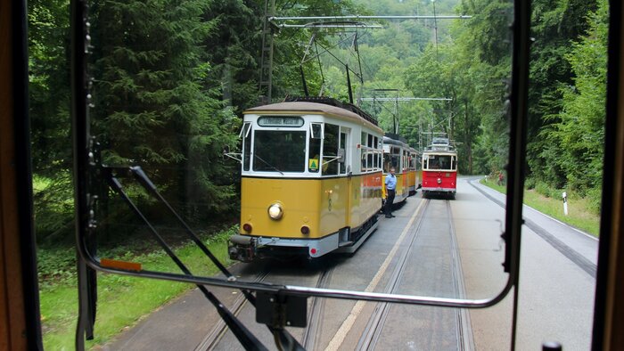 Blick auf die Museumswagen der Kirnitzschtalbahn