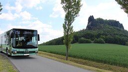 Bus Linie 253