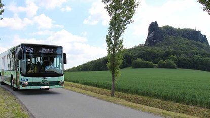 Wanderbus mit Lilienstein