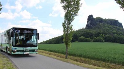 Wanderbus mit Lilienstein