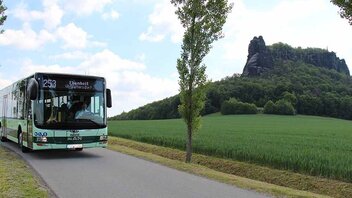 Wanderbus mit Lilienstein