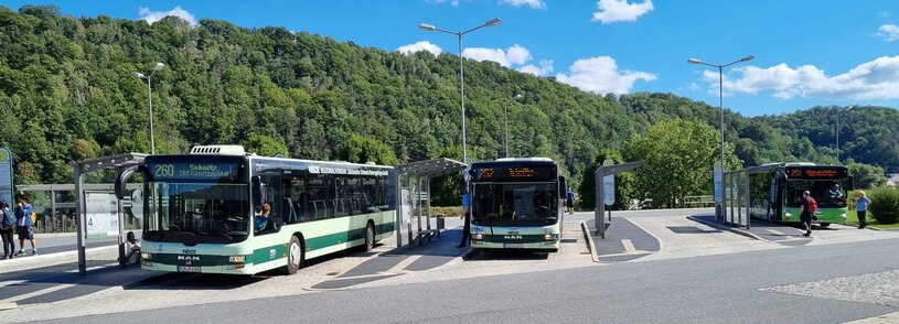 Busse am Nationalparkbahnhof Bad Schandau