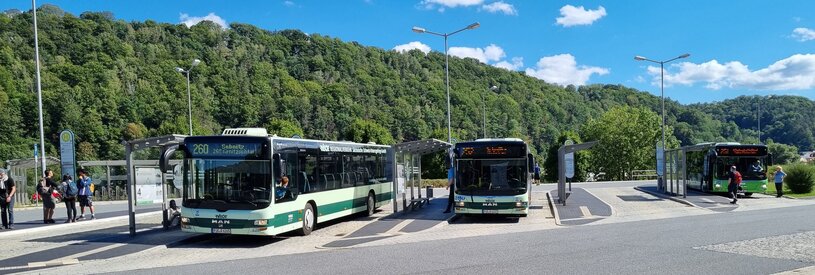 Busse am Nationalparkbahnhof Bad Schandau