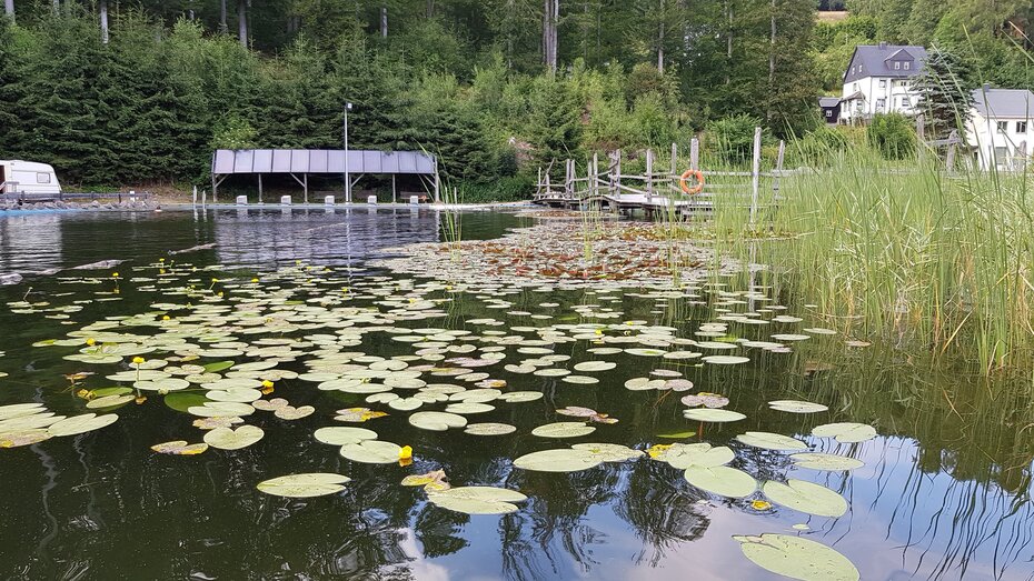 Bad in Rechenberg-Bienenmühle